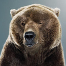 Cross stitch pattern: #385103