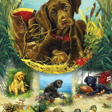 Cross stitch pattern: #386773