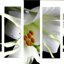 Cross stitch pattern: #386931