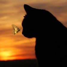 Cross stitch pattern: #388410