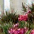 Preview of cross stitch pattern: #388647