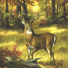 Cross stitch pattern: #388973