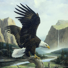 Cross stitch pattern: #388976