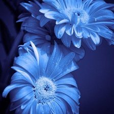 Cross stitch pattern: #389338