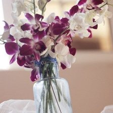 Cross stitch pattern: #389368
