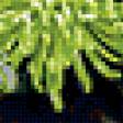Preview of cross stitch pattern: #389401