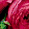 Preview of cross stitch pattern: #389402