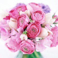 Cross stitch pattern: #389402