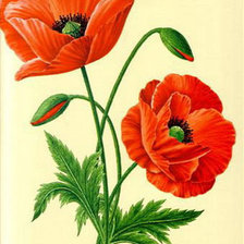 Cross stitch pattern: #390314