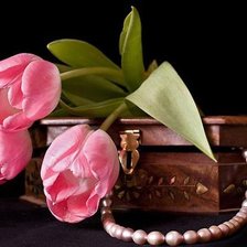 Cross stitch pattern: #390335