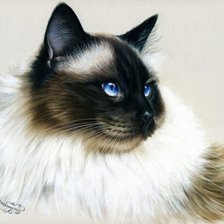 Cross stitch pattern: #390760