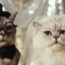 Cross stitch pattern: #390770