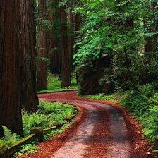 Cross stitch pattern: #391223