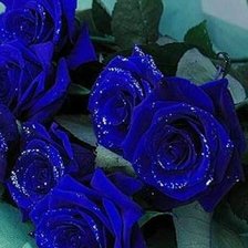 Cross stitch pattern: #391351