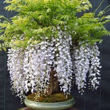 Cross stitch pattern: #391528