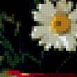 Preview of cross stitch pattern: #391592