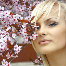 Cross stitch pattern: #391654