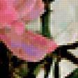 Preview of cross stitch pattern: #391725