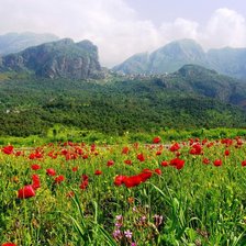 Cross stitch pattern: #392551