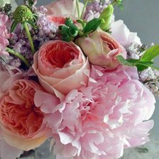 Cross stitch pattern: #393964