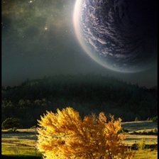 Cross stitch pattern: #393991