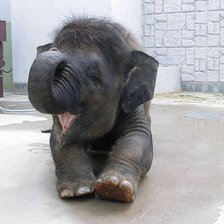 Cross stitch pattern: #394811