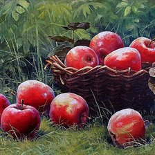 Cross stitch pattern: #395221