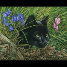 Cross stitch pattern: #395258