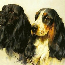 Cross stitch pattern: #395371