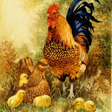 Cross stitch pattern: #395372