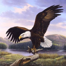 Cross stitch pattern: #395373