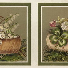 Cross stitch pattern: #395800