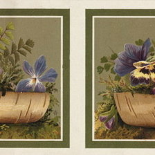 Cross stitch pattern: #395803