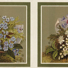 Cross stitch pattern: #395804
