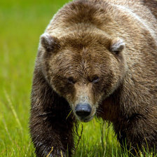 Cross stitch pattern: #396174