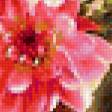 Preview of cross stitch pattern: #396472