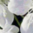 Preview of cross stitch pattern: #396880