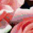 Preview of cross stitch pattern: #396988