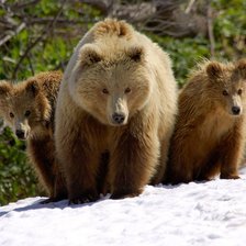 Cross stitch pattern: #397728