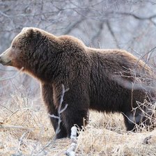 Cross stitch pattern: #397730