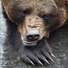 Cross stitch pattern: #397731