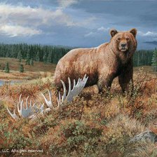 Cross stitch pattern: #397733