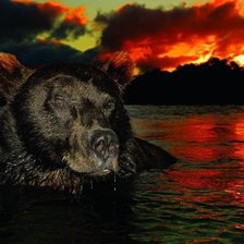 Cross stitch pattern: #397736