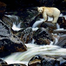 Cross stitch pattern: #397739