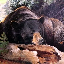 Cross stitch pattern: #397743