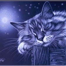 Cross stitch pattern: #398907