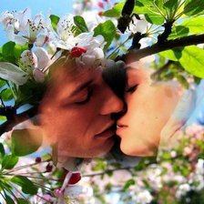 Cross stitch pattern: #399347