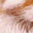 Preview of cross stitch pattern: #399587