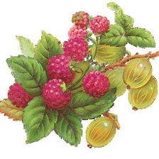 Source of cross stitch pattern: #399787