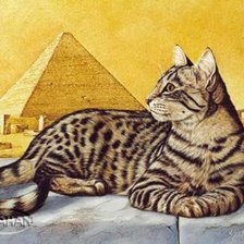 Cross stitch pattern: #400778